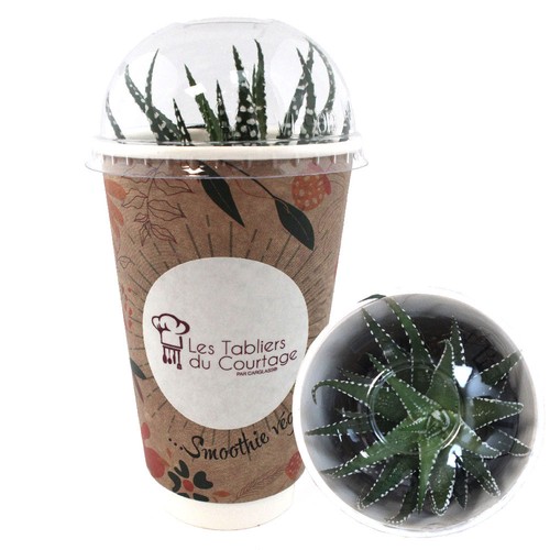 Smoothie Plante