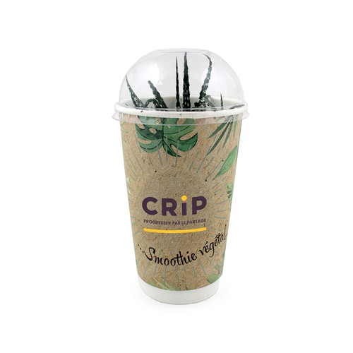 Smoothie Plante