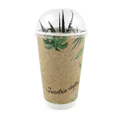Smoothie Plante