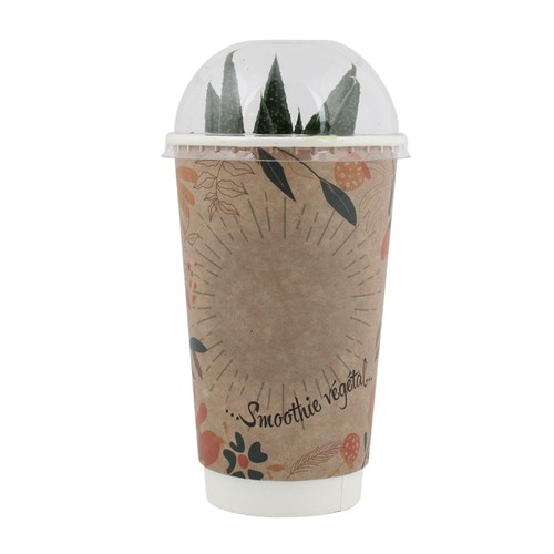 Smoothie Plante