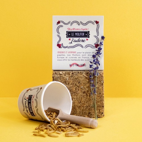 Insectes apéritifs en pot carton - 3