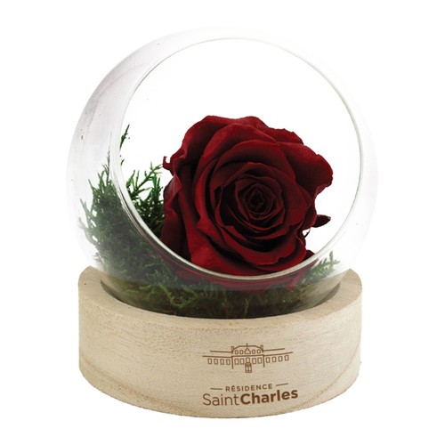 Rose éternelle en terrarium socle bois - 2