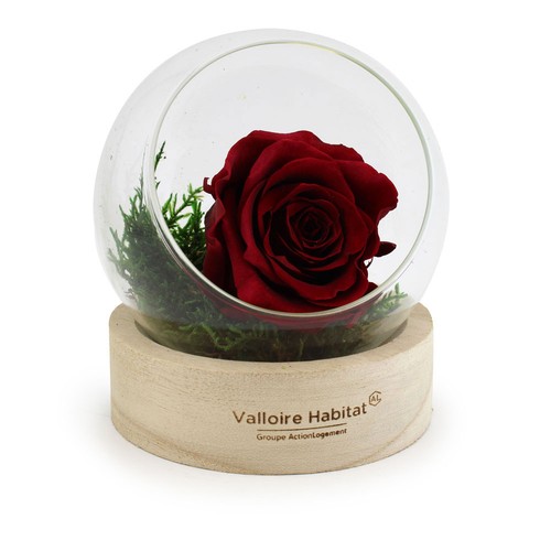 Rose éternelle en terrarium socle bois