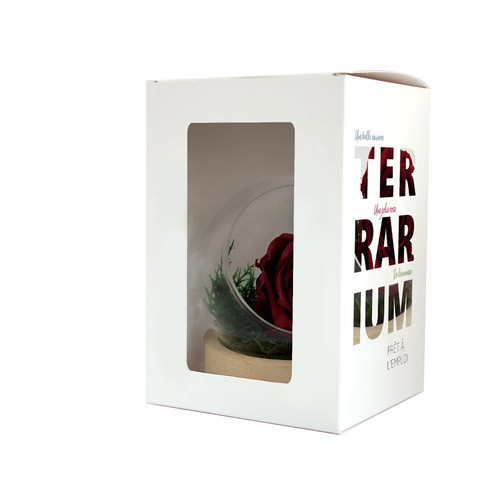 Rose éternelle en terrarium socle bois