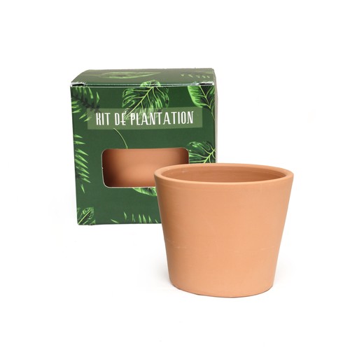 Cube plantation standard Ø7cm