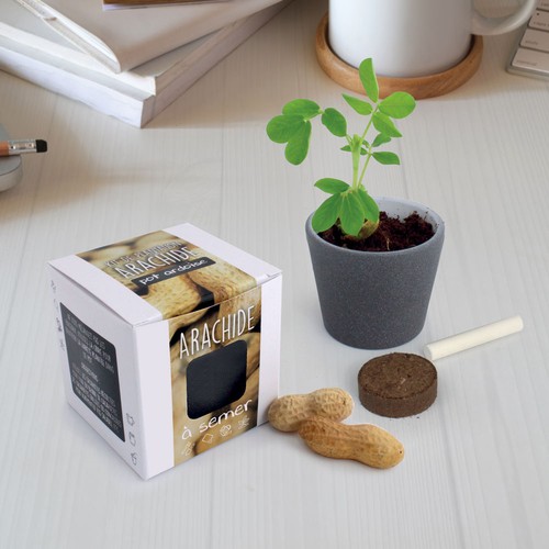 Kit pot ardoise graines arachide