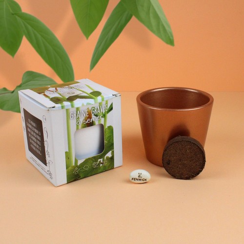 Kit de plantation graine gravée