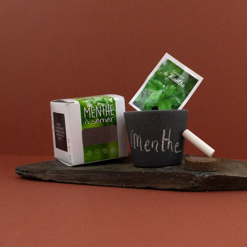 Kit pot ardoise graines menthe