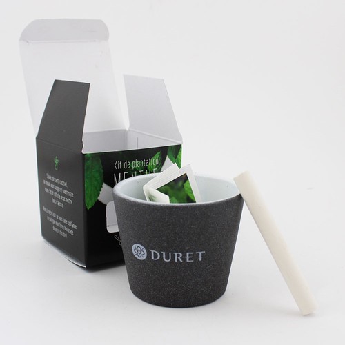 Kit pot ardoise graines menthe