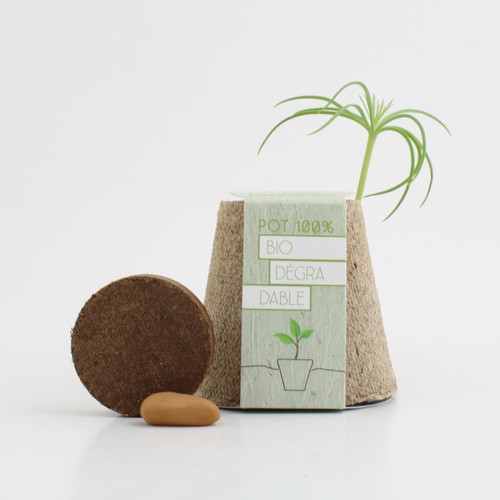 Kit plantation arbre pot fibre de bois