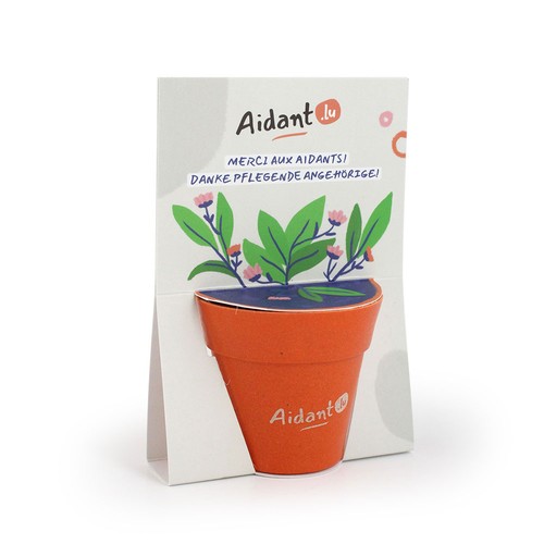 Carte pot bambou - 2