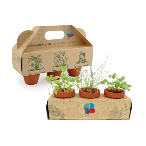 Présentoir 3 pots - 2