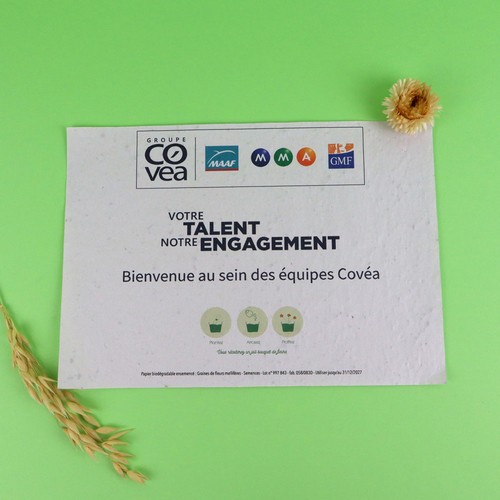 Papier graines A5 120g