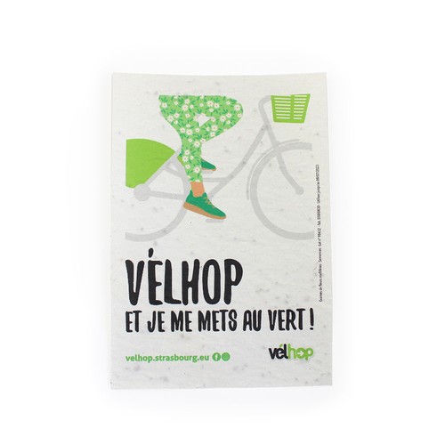 Papier graines A6 - 2