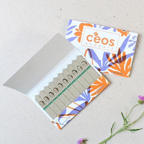 Etui 10 bâtonnets graines - 2