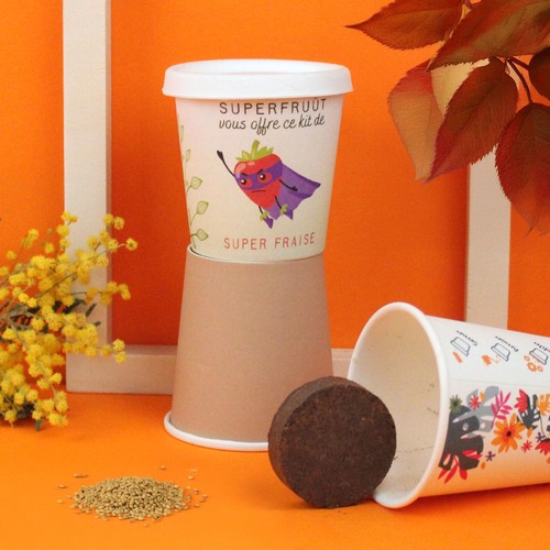 Kit plantation Pot Carton - 1