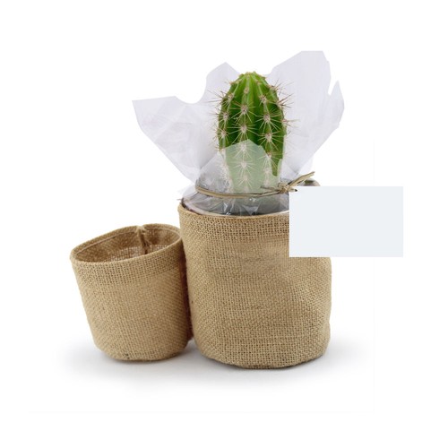 Pot toile de jute - 1