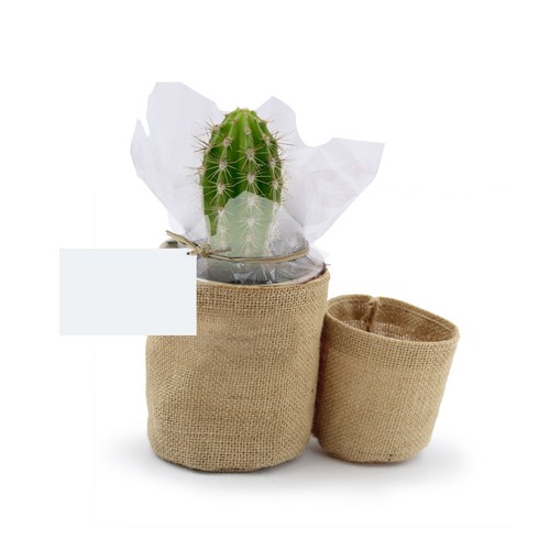 Pot toile de jute