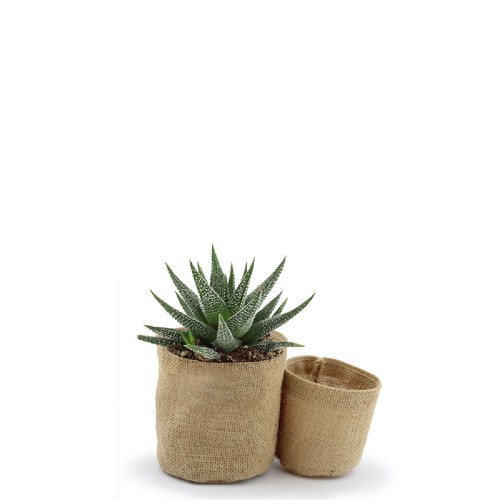 Pot toile de jute