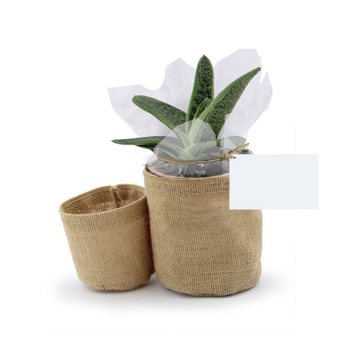 Pot toile de jute