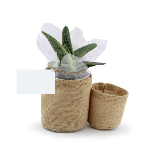 Pot toile de jute