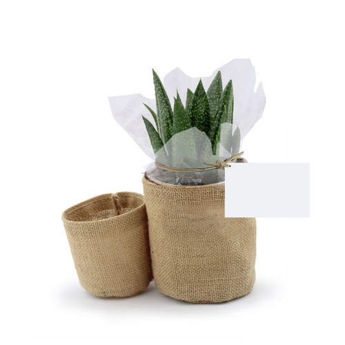 Pot toile de jute