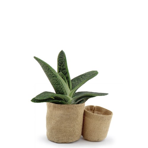 Pot toile de jute