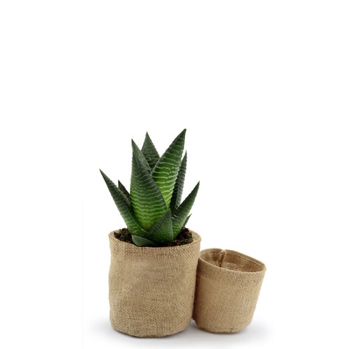 Pot toile de jute