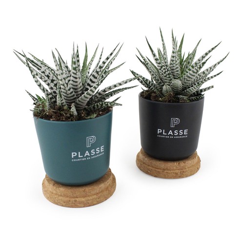 Plante pot bambou liège - 3