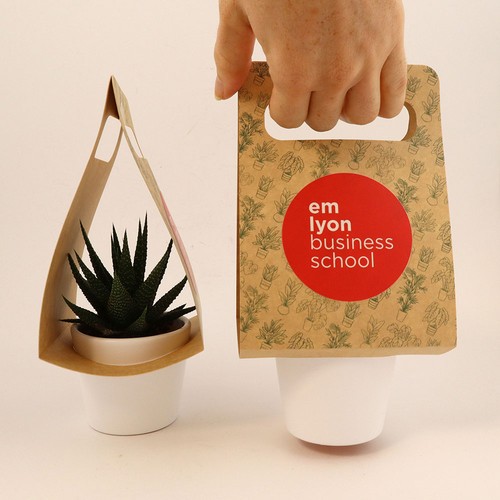 Plante portative - 3