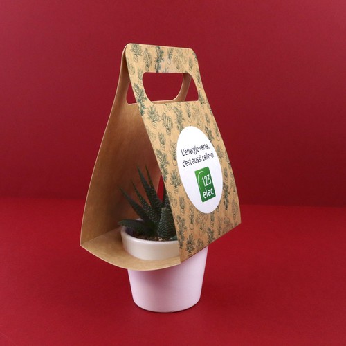 Plante portative