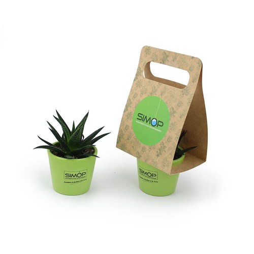 Plante portative