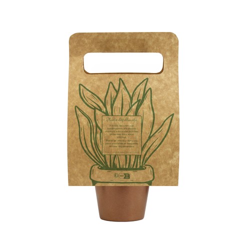 Plante portative