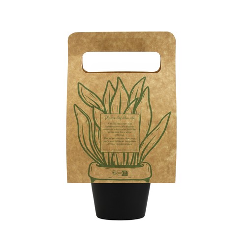 Plante portative
