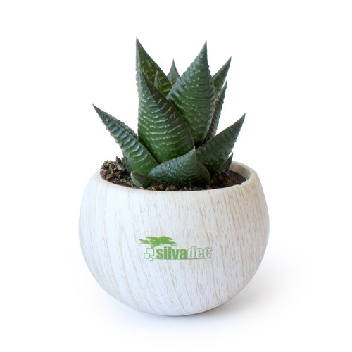 Plante pot céramique aimanté effet bois - 2