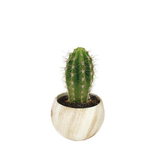 Plante pot céramique aimanté effet bois