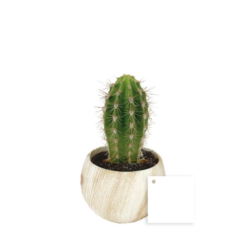 Plante pot céramique aimanté effet bois