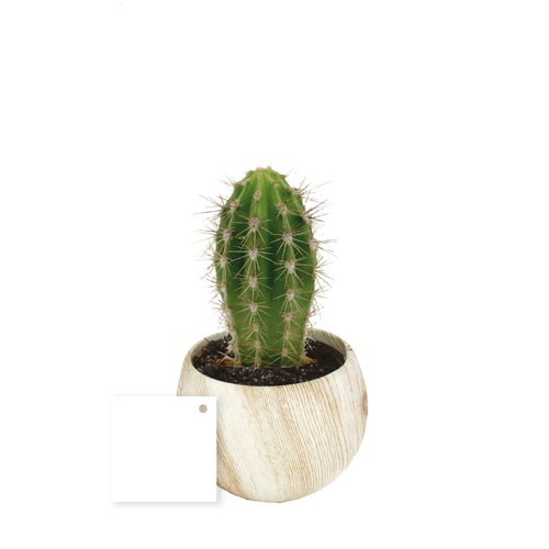 Plante pot céramique aimanté effet bois