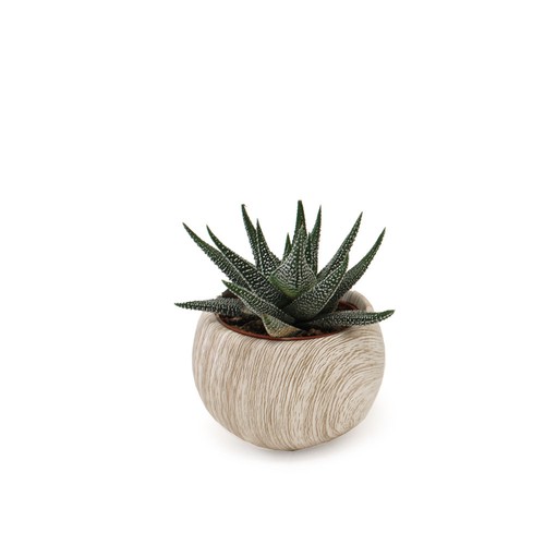 Plante pot céramique aimanté effet bois