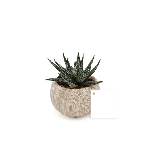 Plante pot céramique aimanté effet bois
