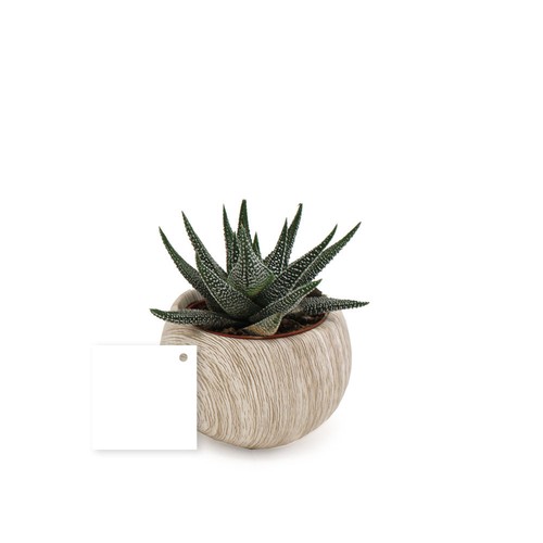Plante pot céramique aimanté effet bois
