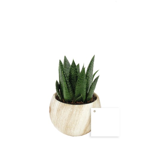 Plante pot céramique aimanté effet bois
