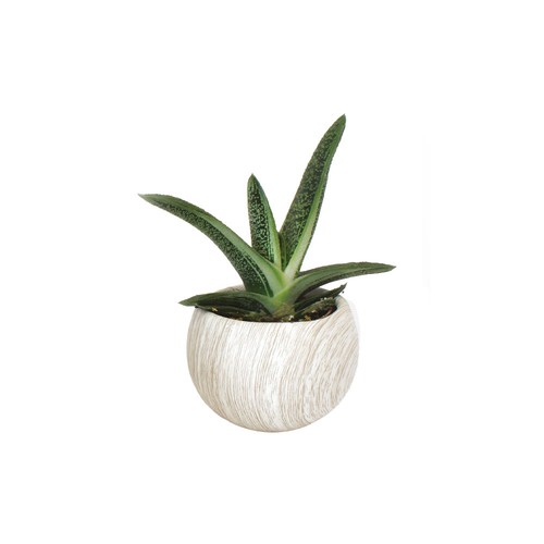 Plante pot céramique aimanté effet bois
