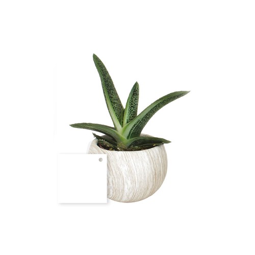 Plante pot céramique aimanté effet bois