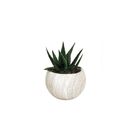Plante pot céramique aimanté effet bois