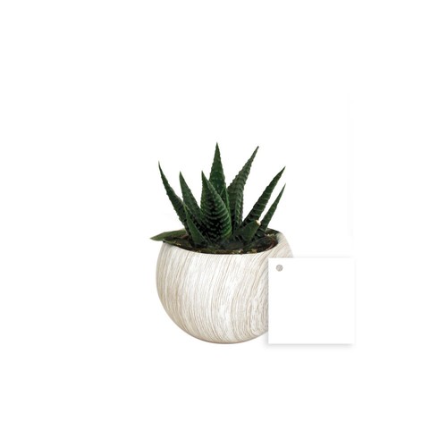 Plante pot céramique aimanté effet bois