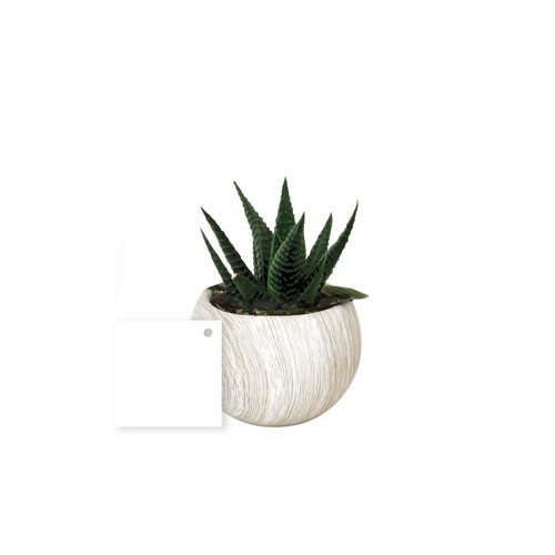 Plante pot céramique aimanté effet bois