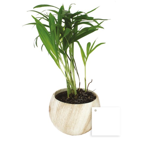 Plante pot céramique aimanté effet bois