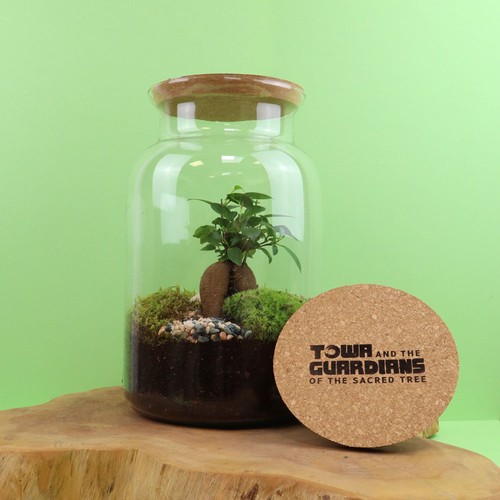 Terrarium - Grand modèle - 1