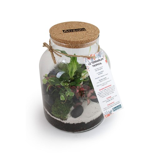 Terrarium - Modèle confort - L - 2